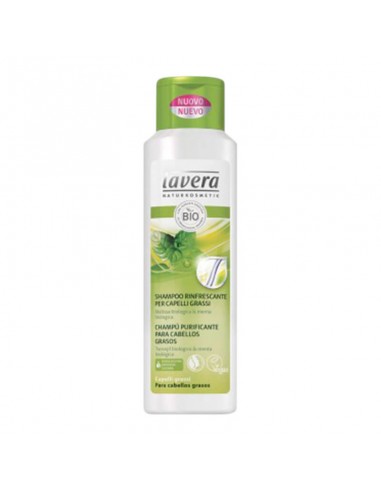 Shampoo Rinfrescante