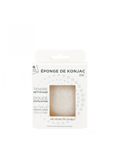 Spugna di Konjac