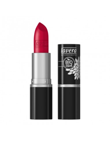 Rossetto